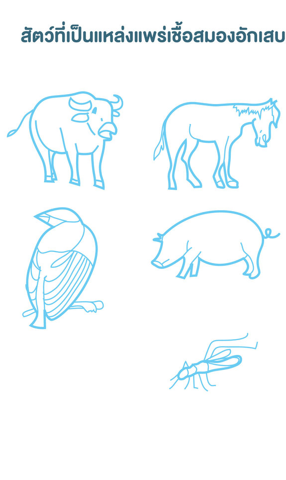 สัตว์ที่เป็นแหล่งแพร่เชื้อสมองอักเสบ